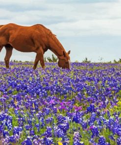 Bluebonnets And Brown Horse Diamond Painting