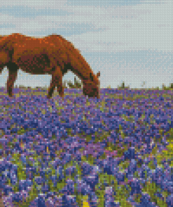 Bluebonnets And Brown Horse Diamond Painting