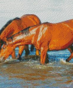 Brown Horses Drinking Water Diamond Painting