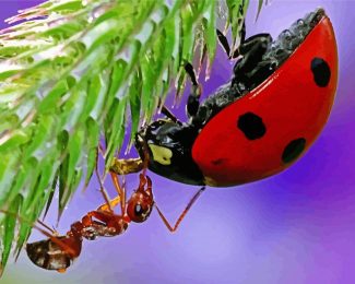 Close Up Ant And Ladybug Diamond Painting