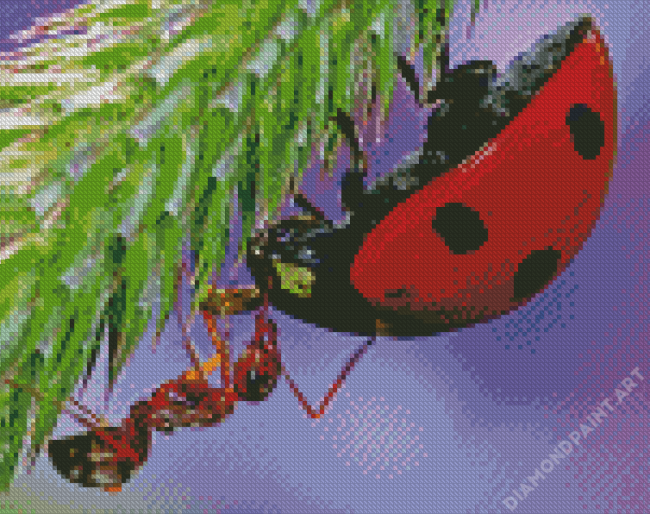 Close Up Ant And Ladybug Diamond Painting