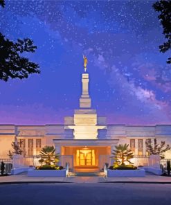 Columbia South Carolina Temple At Night 5D Diamond Painting