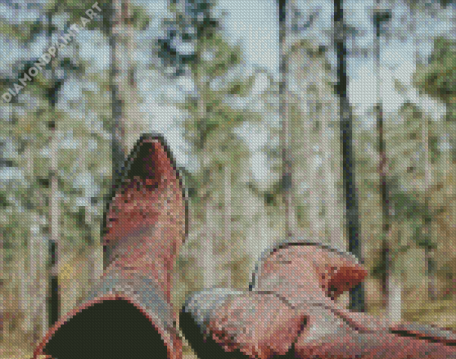 Cowboy Boots In Forest Diamond Painting