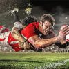 England National Rugby Player Diamond Painting