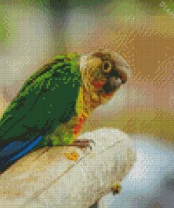 Green Cheeked Parakeet Bird Art Diamond Painting