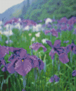 Iris Flower Field Diamond painting