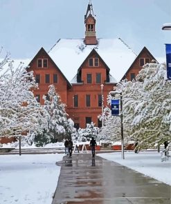 Montana State University In Winter 5D Diamond Painting