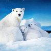 Polar Bear Cubs Diamond Painting