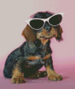 Puppy With Sunglasses Animal Diamond Painting