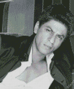 Shah Rukh Khan Actor 5D Diamond Painting