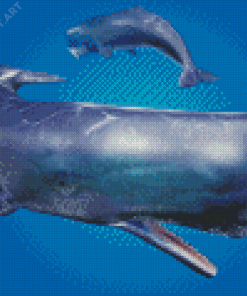 Sperm Whale Fish Diamond Painting