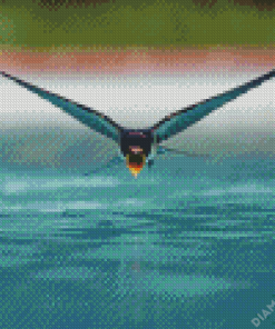 Swallow Bird Flying 5D Diamond Painting