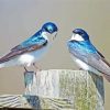 Swallow Birds 5D Diamond Painting