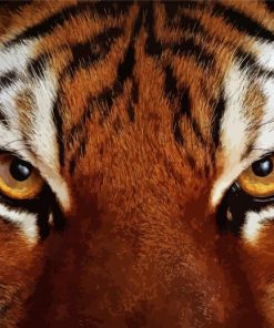Tiger Eyes Animal Diamond Painting