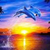 Aesthetic Dolphins At Sunset Diamond Painting