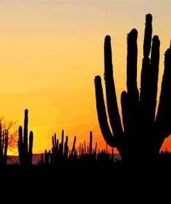 Aesthetic Cactus Sunset View Diamond Painting