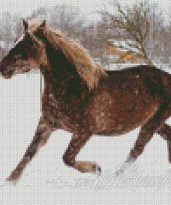 Beige Native Horse In Snow Diamond Painting