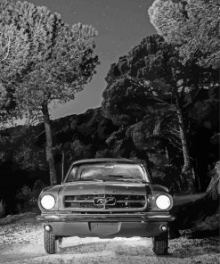 Black And White 64 Ford Mustang 5D Diamond Painting