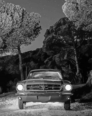 Black And White 64 Ford Mustang 5D Diamond Painting