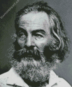 Black And White Poet Walt Whitman Diamond Painting