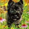Black Cairn Terrier Dog Art Diamond Painting