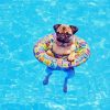 Cute Dogs Pool Diamond Painting
