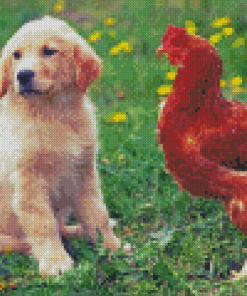Dog With Chicken Diamond Painting