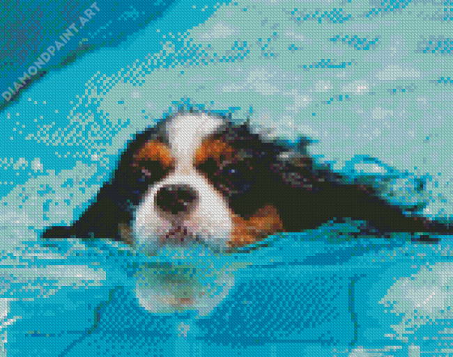 Little Dogs In Pool Diamond Painting