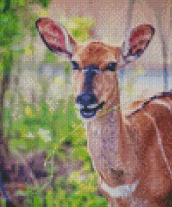Smiling Nyala Animal Art Diamond Painting