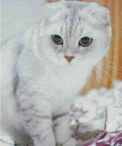 White Grey Fold Ear Cat 5D Diamond Painting