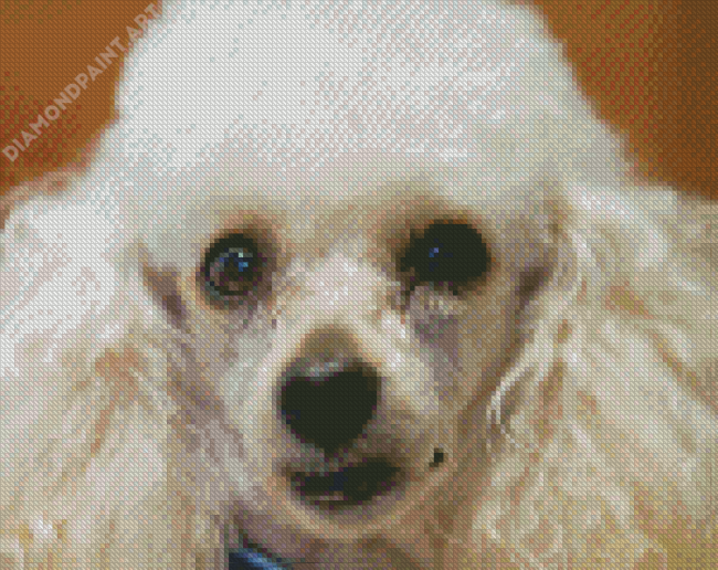 White Yorkiepoo Puppy Diamond Painting