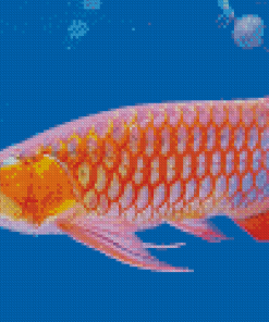 Arowana Fish Underwater Diamond painting