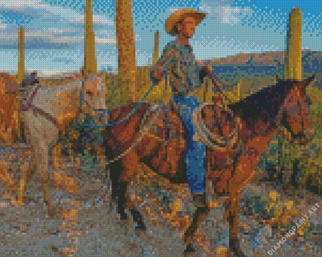 Cowboy In Arizona Diamond Painting