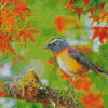 Lovely Robin In Autumn Diamond Painting