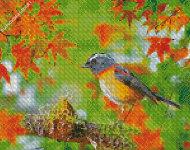 Lovely Robin In Autumn Diamond Painting