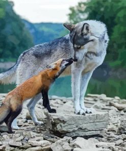 Wolf And Fox Animals Diamond Painting