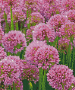 Pink Allium Flowering Plant Diamond painting