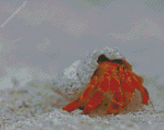 Red Hermit Crab Diamond painting