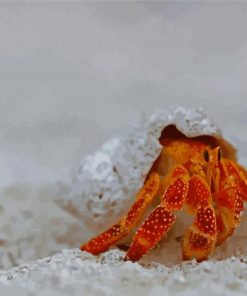 Red Hermit Crab Diamond painting