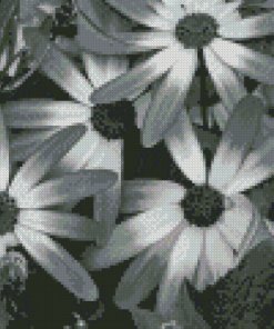 Aesthetic Black And White Flowers Diamond Painting