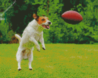 Aesthetic Dog Football Diamond Painting