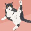 Aesthetic Funny Cat Diamond Painting
