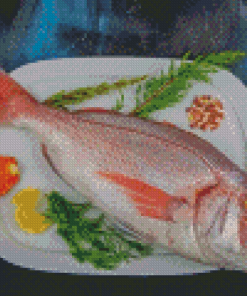 Fresh Common Dentex Fish Diamond Painting