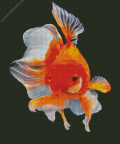 Red Elegant Fish Diamond Painting
