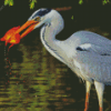 Aesthetic Great Blue Heron With Fish Diamond Painting