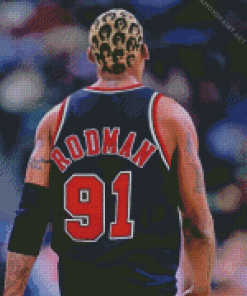 Basketball Player Dennis Rodman Diamond Painting