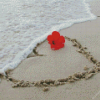 Beach Heart And Flower Diamond Painting