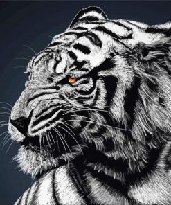 Black Bengal Tiger Diamond Painting
