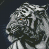 Black Bengal Tiger Diamond Painting
