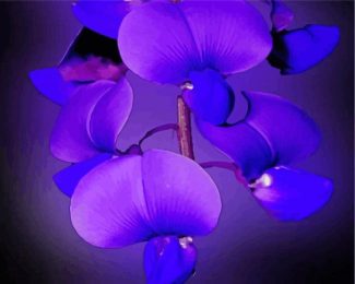Blue Purple Orchids Diamond Paintings